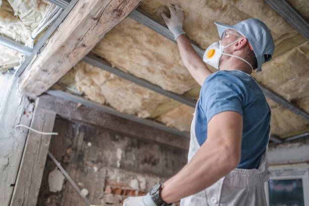 Best Insulation Installation Services in De Pue, IL