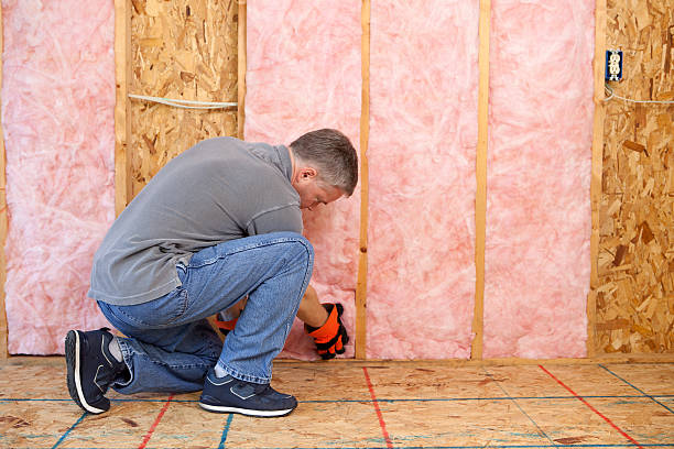 Best Energy Efficiency Solutions in De Pue, IL