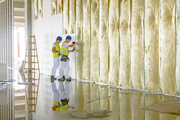  De Pue, IL Insulation Contractor Pros